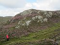 2014.08.21 Schottland - Stonechats Croft bei Ron in Sutherland (3114)